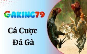 Cá Cược Đá Gà
