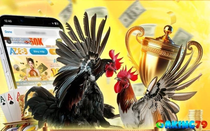 Đá gà trực tiếp là sản phẩm nổi bật nhất tại AZ888