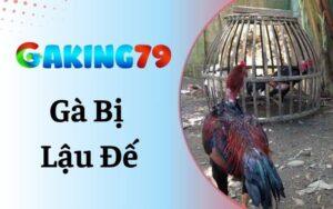 Gà bị lậu đế