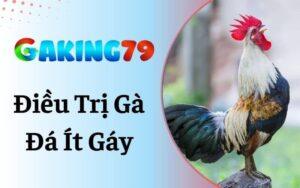 Gà Đá Ít Gáy