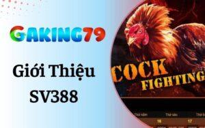 Giới Thiệu SV388