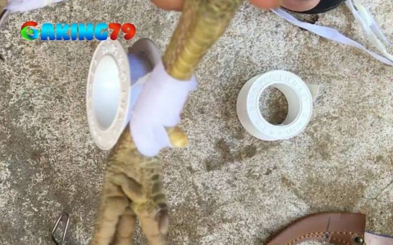 Làm sạch và băng bó cựa bị gãy