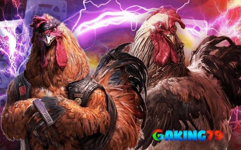 SV388 nhà cái cá cược trực tuyến uy tín hàng đầu Việt Nam