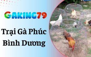 Trại gà Phúc Bình Dương