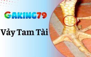 Vảy Tam Tài