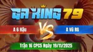 Trận 16 CPC5 Ngày 19/11/2025 - Chuối đá bườm lấy tiền vào túi