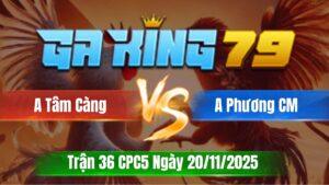 Trận 36 CPC5 Ngày 20/11/2025 - Xanh chặn 2 bát đỏ hư hình hết cú