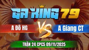 Trận 24 CPC5 Ngày 09/11/2025 - Anh Đô Hậu Giang VS Giang Cần Thơ