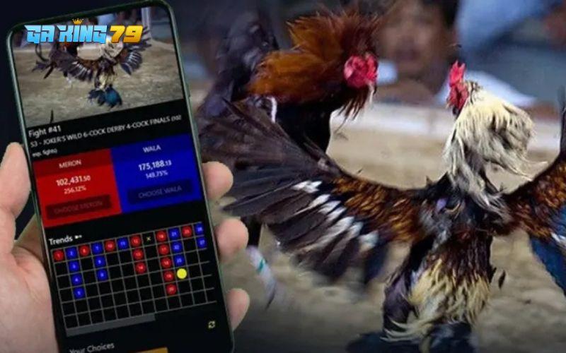 Các pha ra đòn, né tránh đều được phát sóng với hình ảnh sắc nét